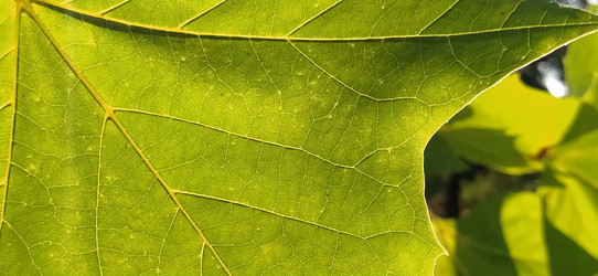 Similar image 21453357