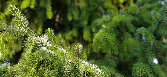 Similar image 21453360