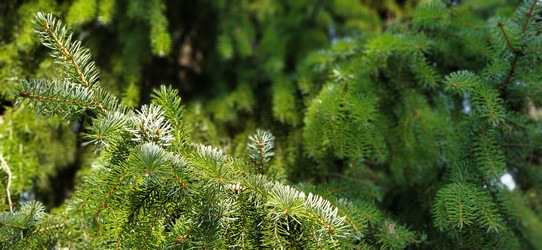 Similar image 21453361