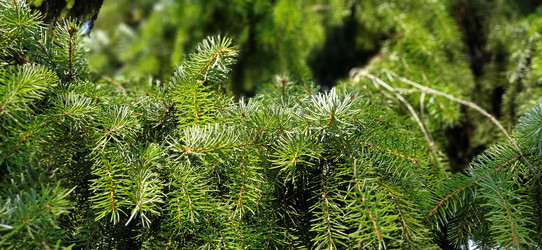 Similar image 21453362