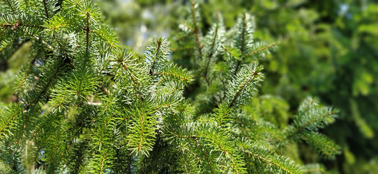 Similar image 21453363