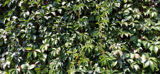 Similar image 21453366