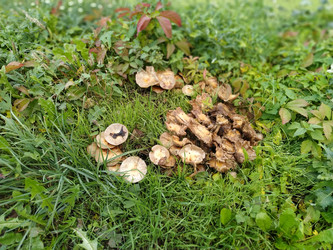 Similar image 21453368