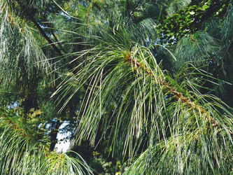 Similar image 21455389