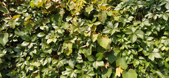 Similar image 21455393