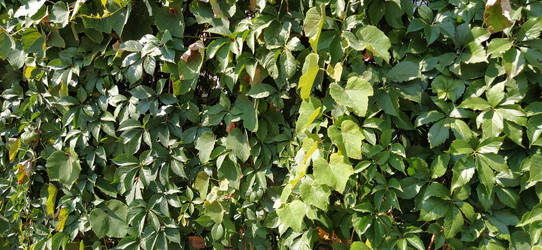 Similar image 21455394