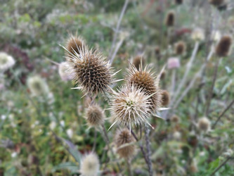 Similar image 21455398