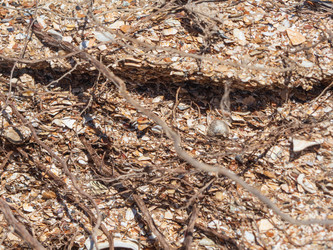 Similar image 21448771