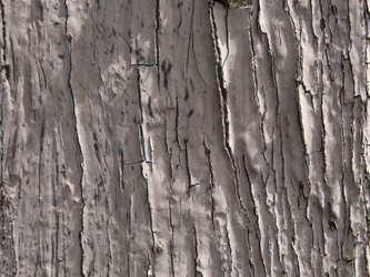 Similar image 21448774