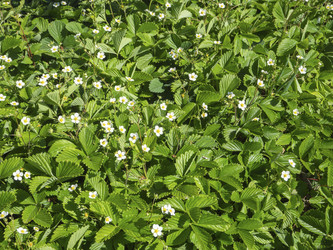 Similar image 21448775