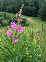 Similar image 21449742