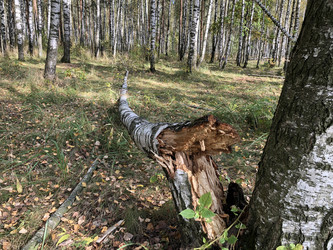 Similar image 21452359