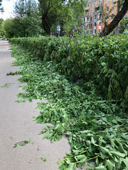 Similar image 21452360