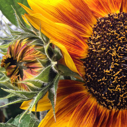 Similar image 21460128