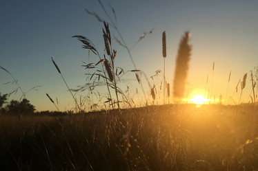 Similar image 21449744