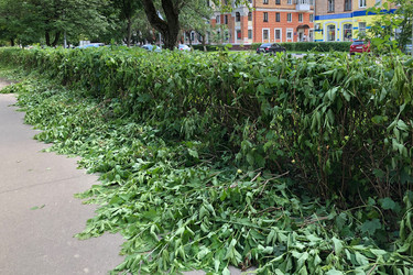 Similar image 21452362