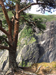 Similar image 21449746