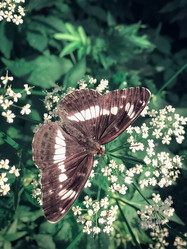 Similar image 21452363