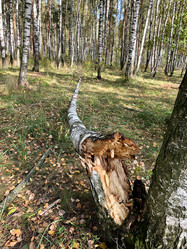 Similar image 21452369