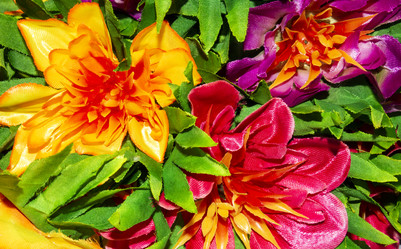 Similar image 21450219