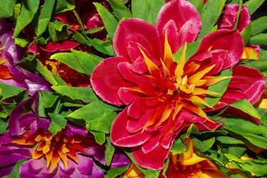 Similar image 21450220