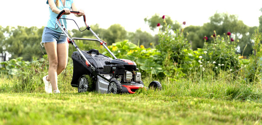 Similar image 21449513