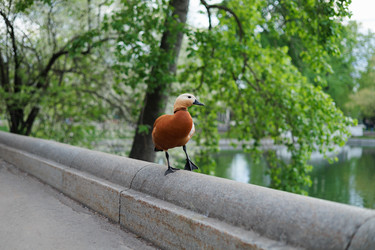 Similar image 21449519