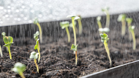 Similar image 21449522