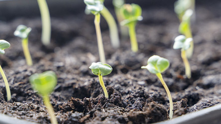 Similar image 21480298