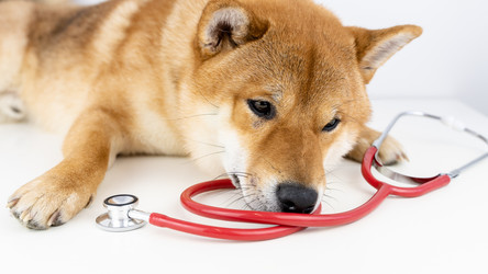 Similar image 21453450