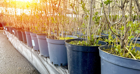 Similar image 21450223