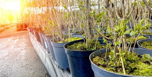 Similar image 21450224