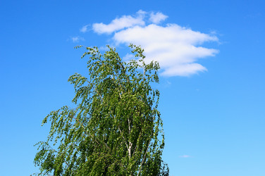 Similar image 21449526