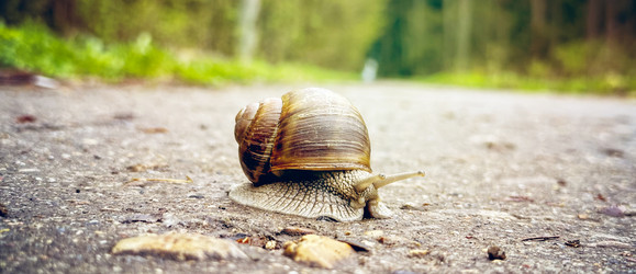 Similar image 21450227