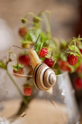 Similar image 21454293