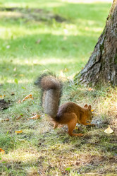 Similar image 21452372