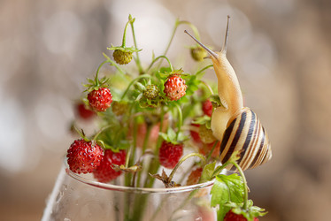 Similar image 21454296