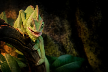 Similar image 21449755