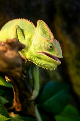 Similar image 21449756