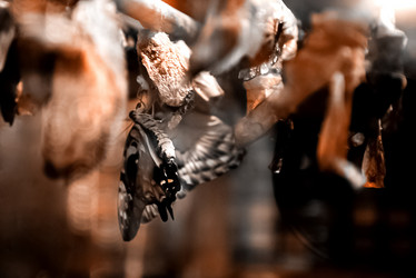 Similar image 21452374