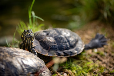 Similar image 21452377