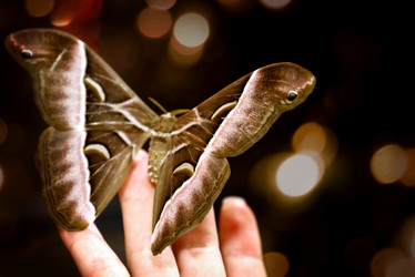 Similar image 21452378