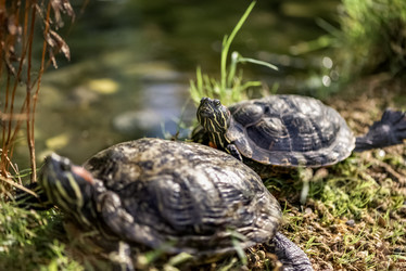 Similar image 21452379