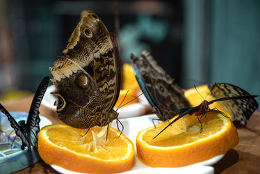 Similar image 21452380