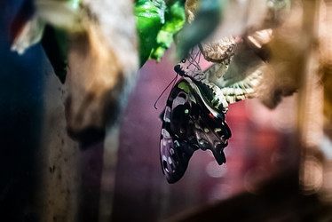 Similar image 21452384