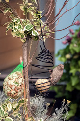 Similar image 21449762