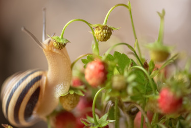 Similar image 21454298