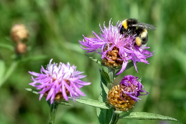 Similar image 21449763