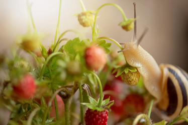 Similar image 21454300