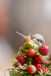 Similar image 21454301